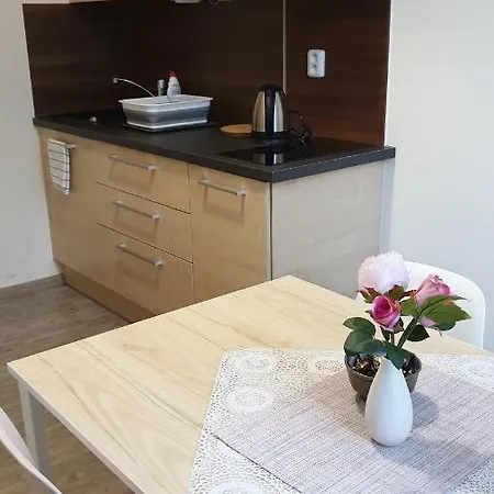 Apartman B1 U Centralniho Parku Brno