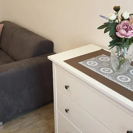 Apartman B1 U Centralniho Parku * Brno